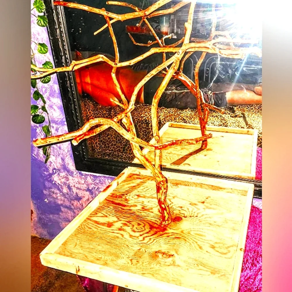 Custom exotic bird perch stands